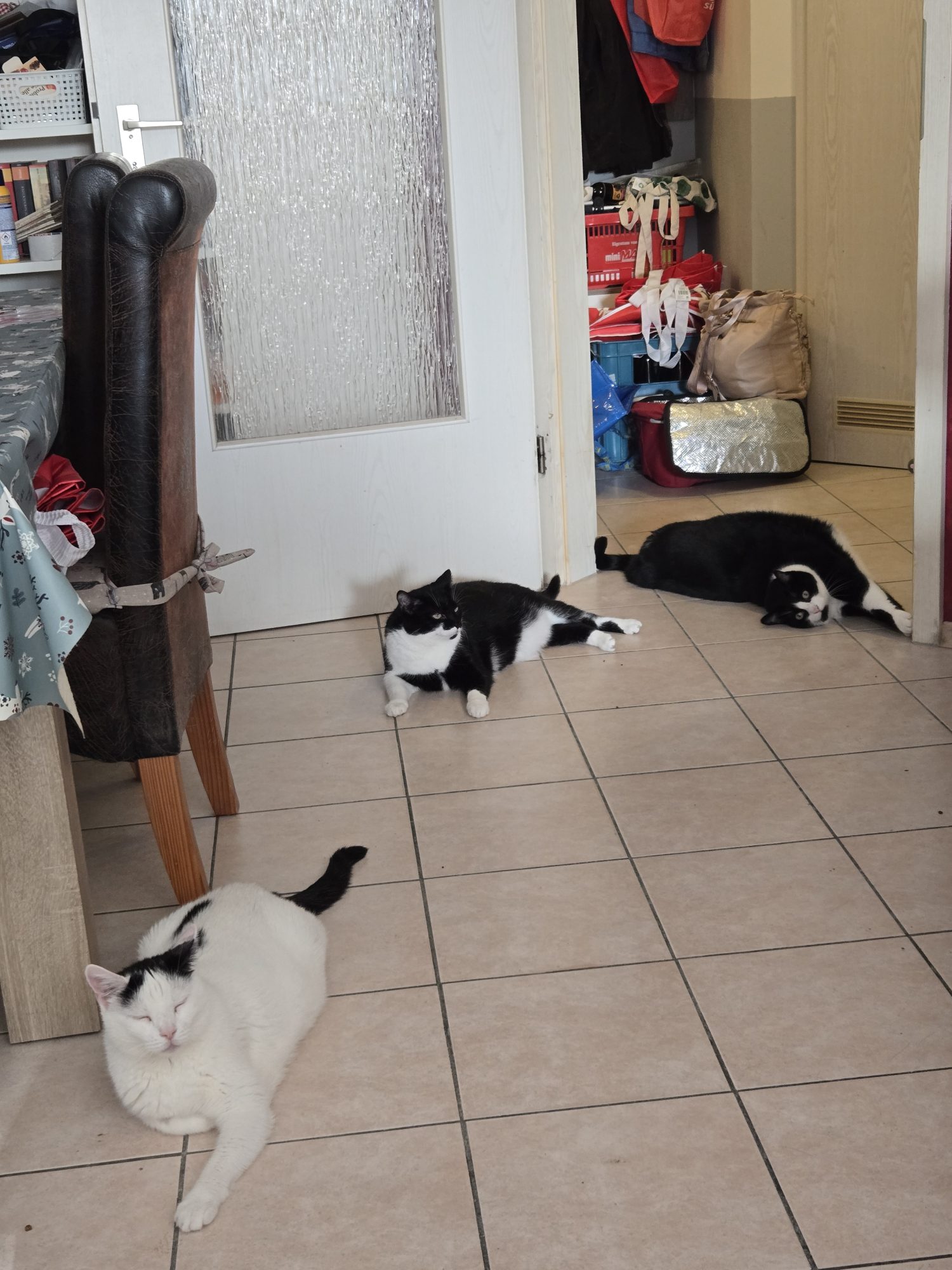 Bubi, Zeus und Obelix